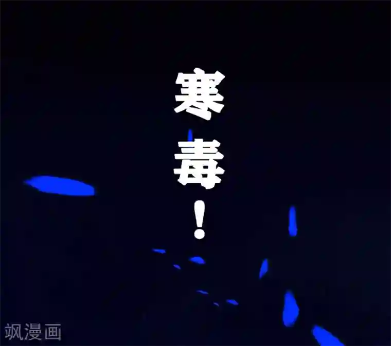 王妃有毒第5话 神秘男子