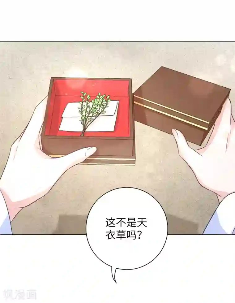 王妃有毒第18话 准备反击