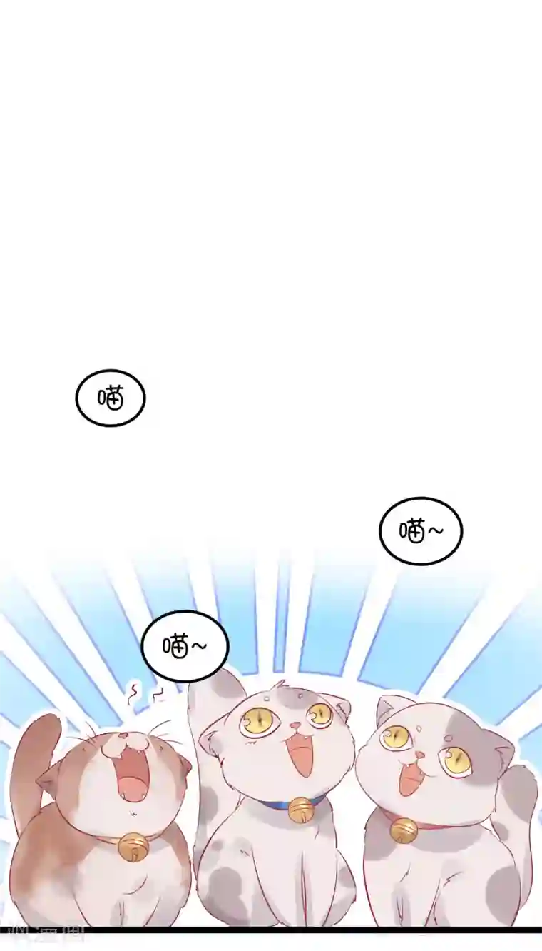 总裁，这样太快了番外1 甜美的未来第一天