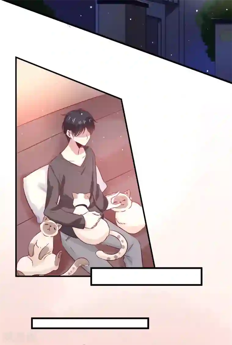 总裁，这样太快了第4话 五百万，做我的人