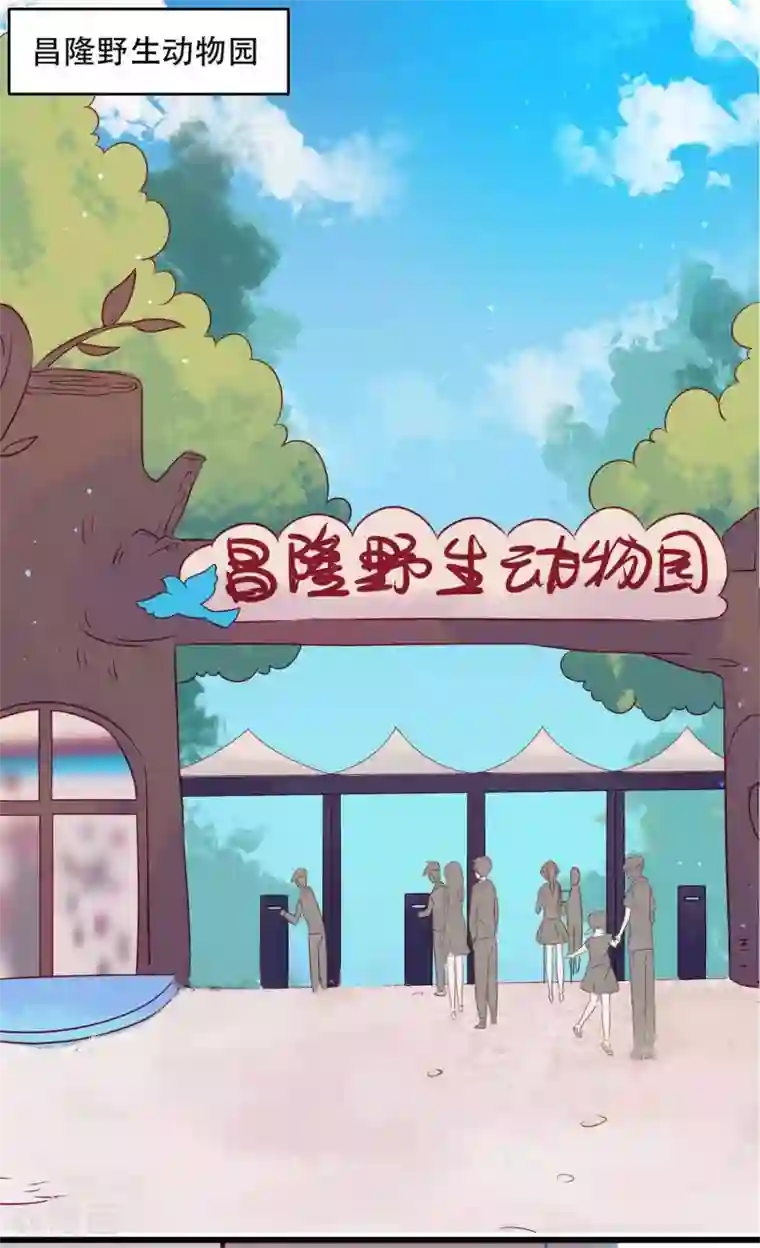 总裁，这样太快了第7话 千万不能被她看到