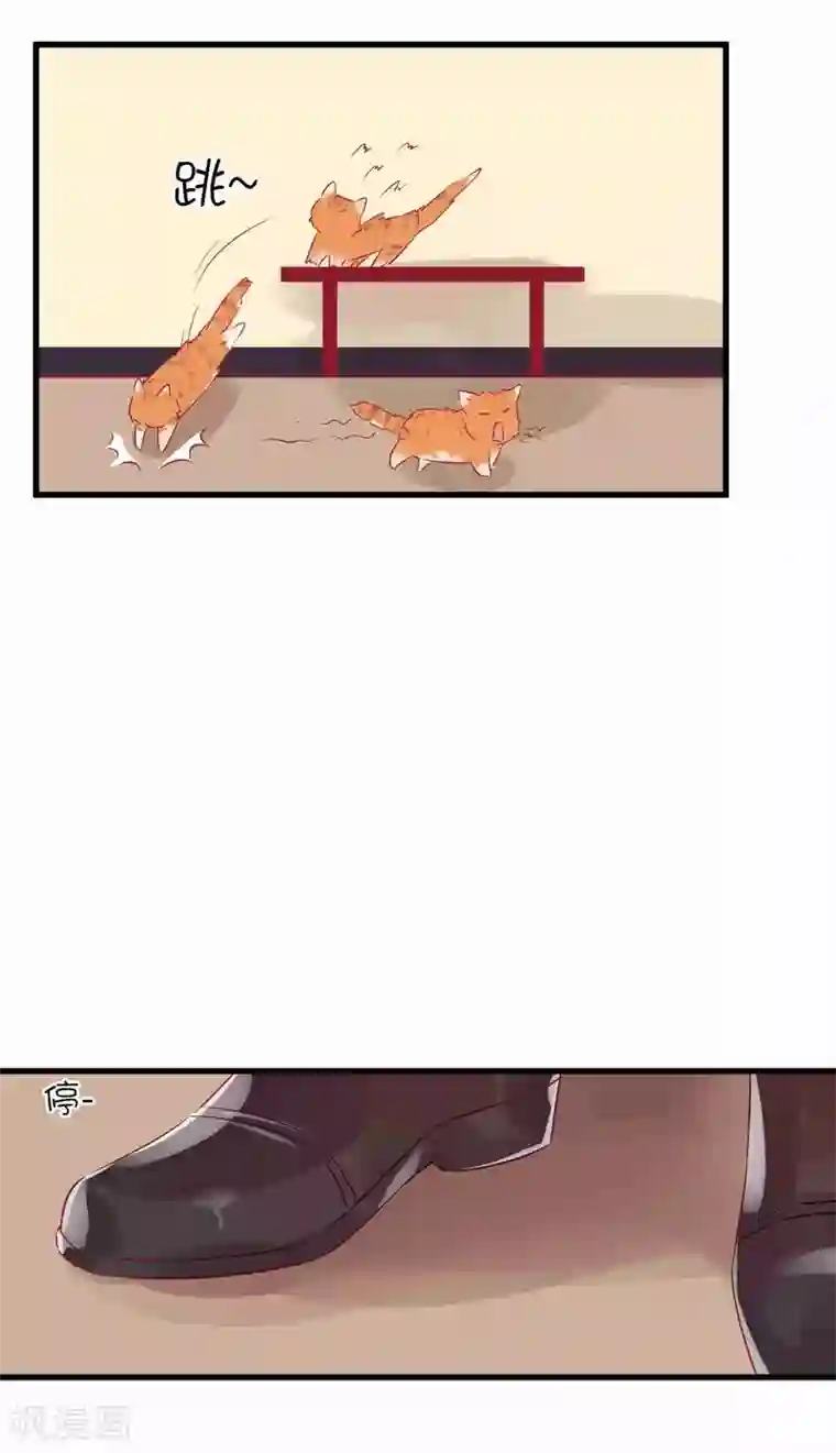 总裁，这样太快了第7话 千万不能被她看到