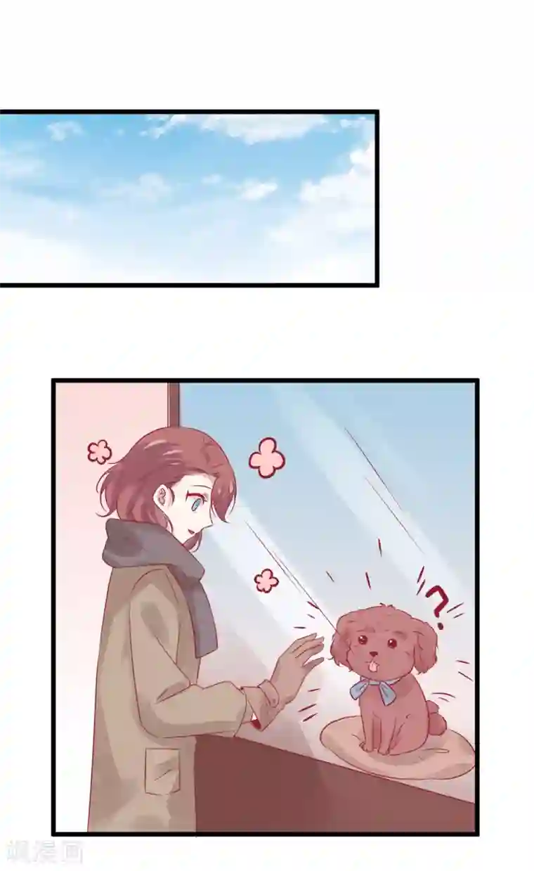 总裁，这样太快了番外6 甜美的未来第六天