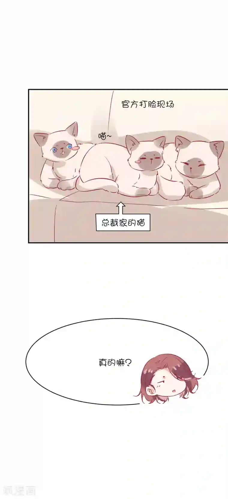 总裁，这样太快了第21话 你们是男女朋友吗？