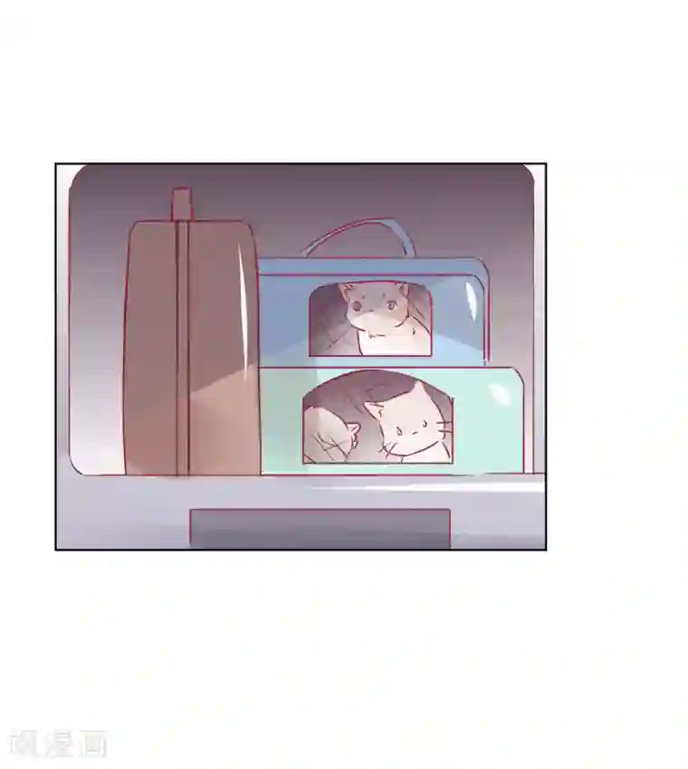 总裁，这样太快了第32话 我可以住在你家吗？