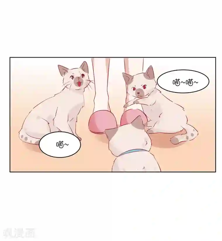 总裁，这样太快了第32话 我可以住在你家吗？