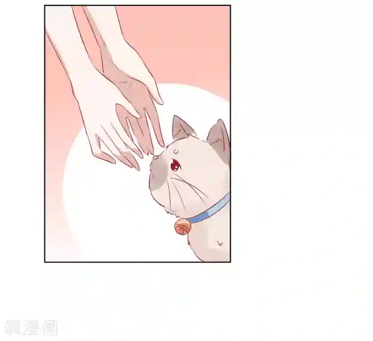 总裁，这样太快了第32话 我可以住在你家吗？