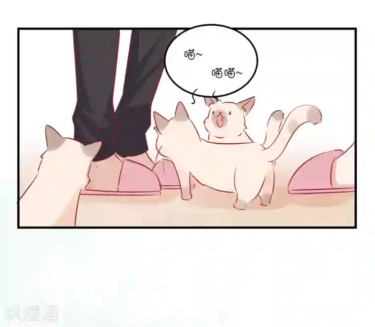 总裁，这样太快了第34话 抵制地下恋情！