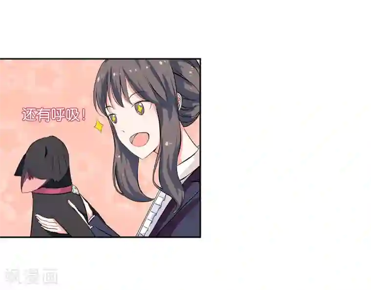 在下铲屎官：喵王在上第1话 夜遇死猫？