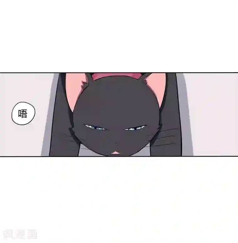 在下铲屎官：喵王在上第1话 夜遇死猫？