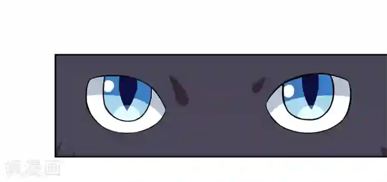 在下铲屎官：喵王在上第1话 夜遇死猫？