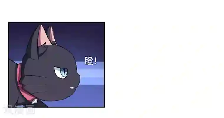 在下铲屎官：喵王在上第1话 夜遇死猫？