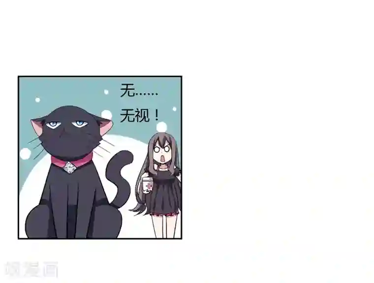 在下铲屎官：喵王在上第1话 夜遇死猫？