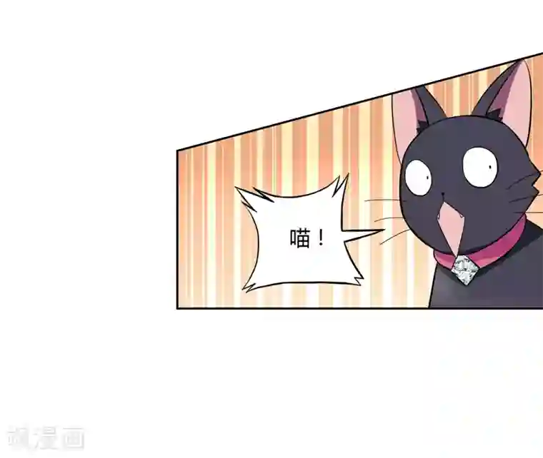 在下铲屎官：喵王在上第1话 夜遇死猫？