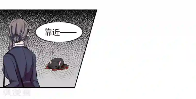 在下铲屎官：喵王在上第1话 夜遇死猫？