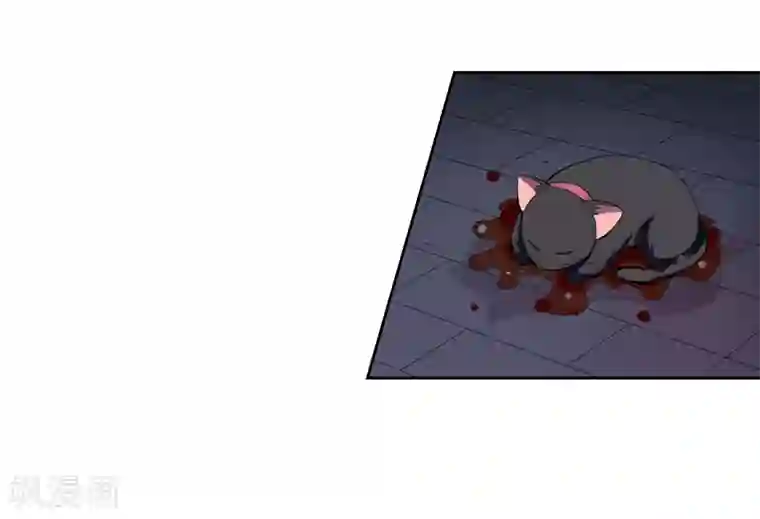 在下铲屎官：喵王在上第1话 夜遇死猫？