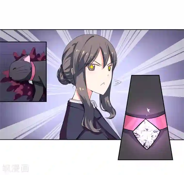 在下铲屎官：喵王在上第1话 夜遇死猫？