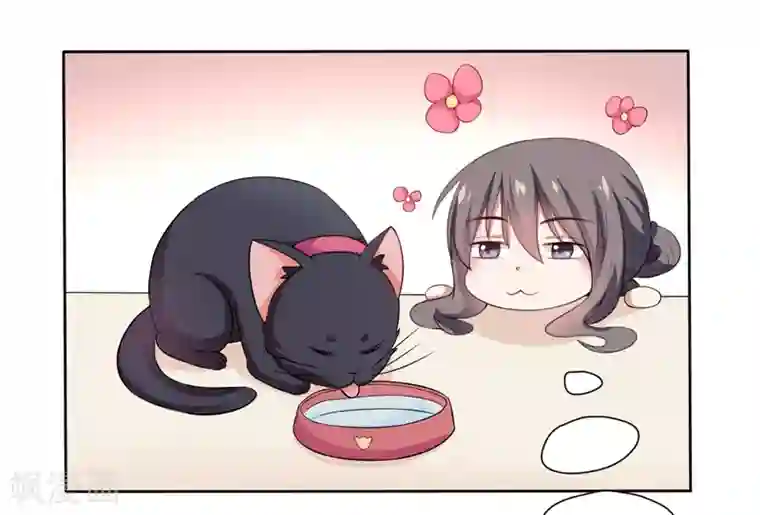 在下铲屎官：喵王在上第2话 猫大爷太磨人了