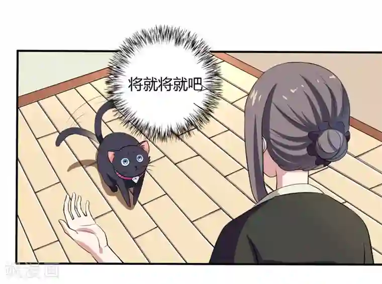 在下铲屎官：喵王在上第2话 猫大爷太磨人了