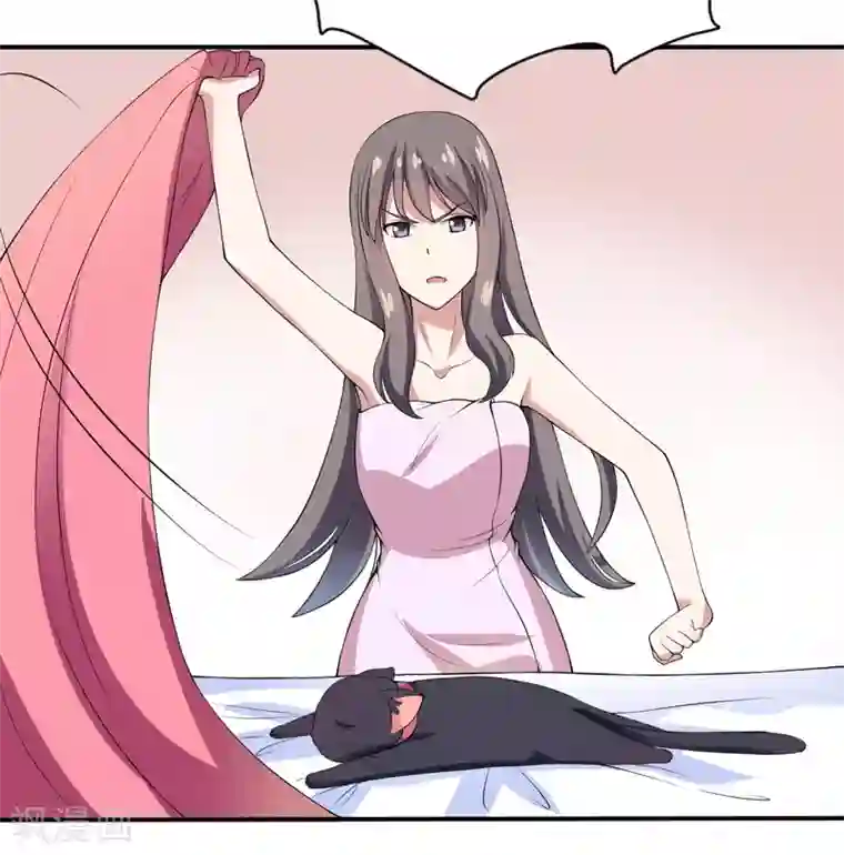 在下铲屎官：喵王在上第2话 猫大爷太磨人了