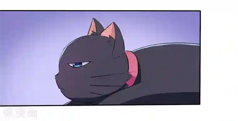 在下铲屎官：喵王在上第2话 猫大爷太磨人了