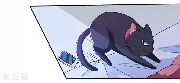 在下铲屎官：喵王在上第2话 猫大爷太磨人了