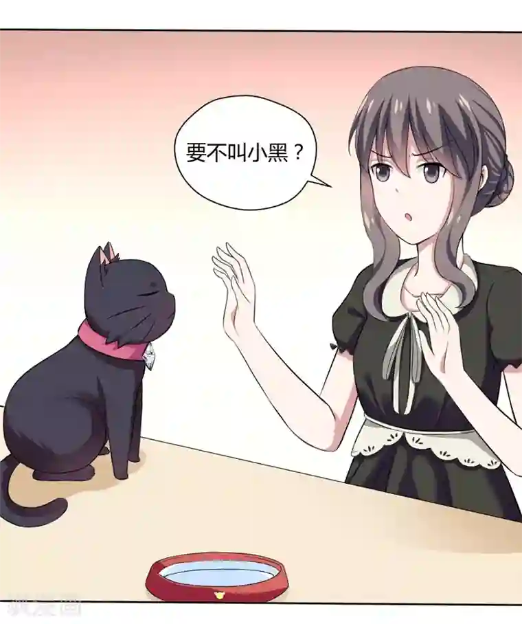 在下铲屎官：喵王在上第2话 猫大爷太磨人了