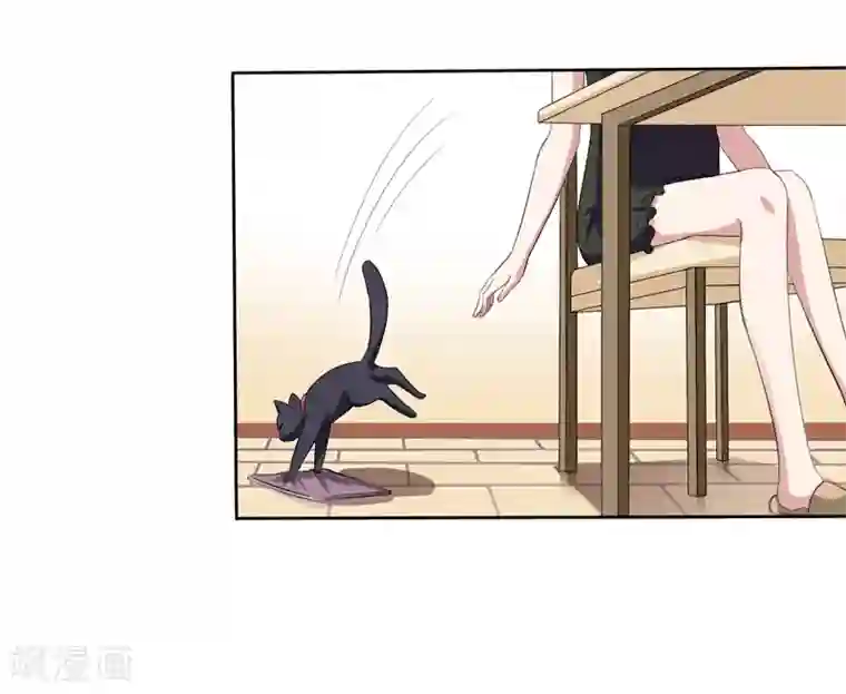 在下铲屎官：喵王在上第2话 猫大爷太磨人了