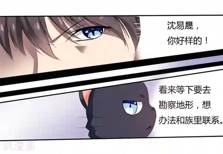 在下铲屎官：喵王在上第3话 猫落平阳被犬欺