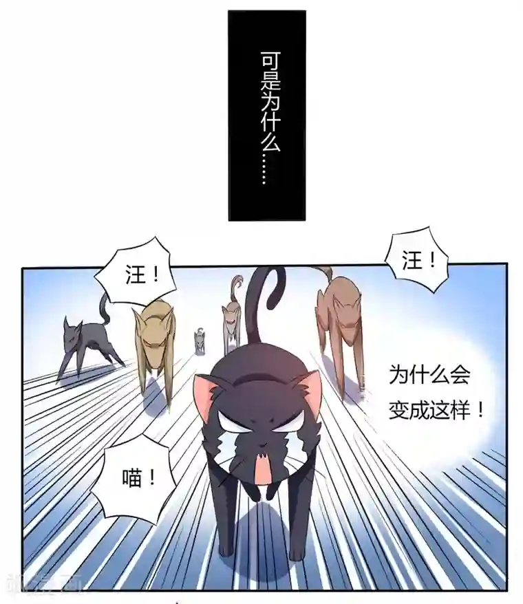 在下铲屎官：喵王在上第3话 猫落平阳被犬欺