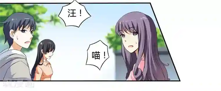 在下铲屎官：喵王在上第3话 猫落平阳被犬欺