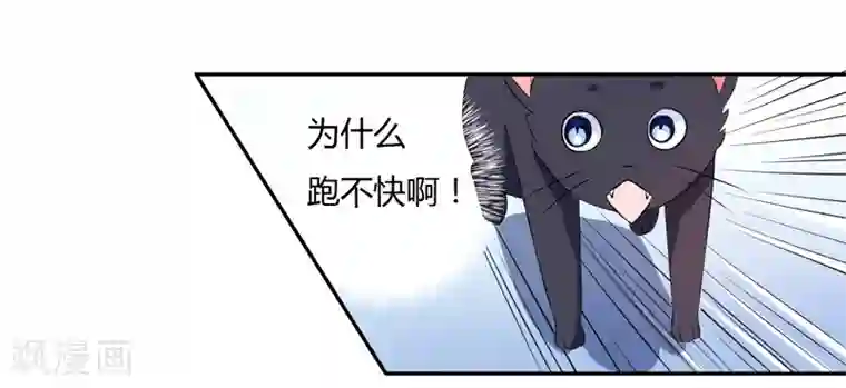在下铲屎官：喵王在上第3话 猫落平阳被犬欺