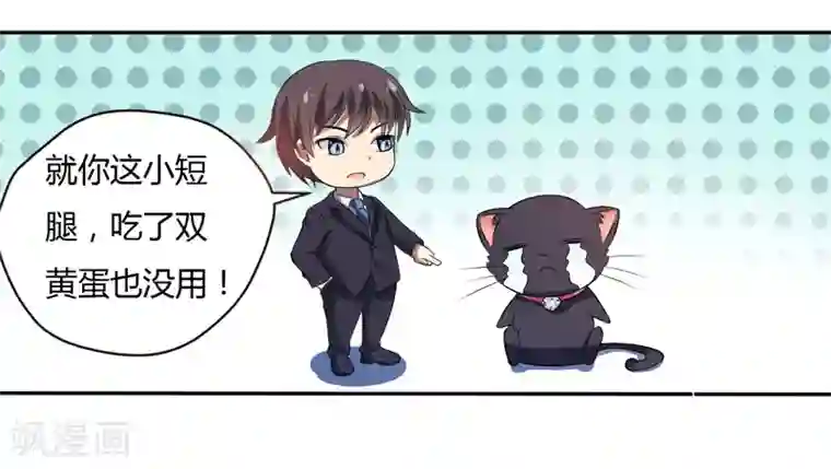 在下铲屎官：喵王在上第3话 猫落平阳被犬欺