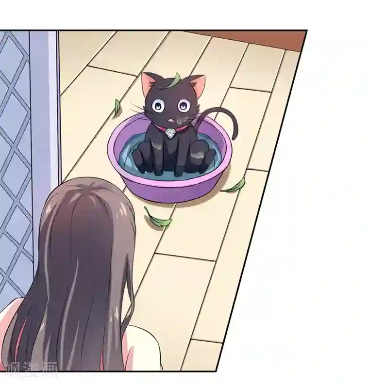 在下铲屎官：喵王在上第3话 猫落平阳被犬欺