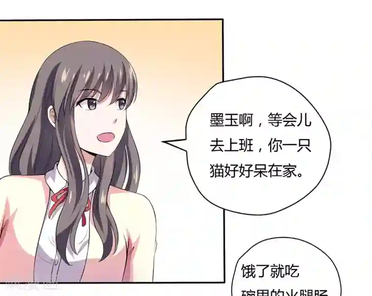 在下铲屎官：喵王在上第3话 猫落平阳被犬欺