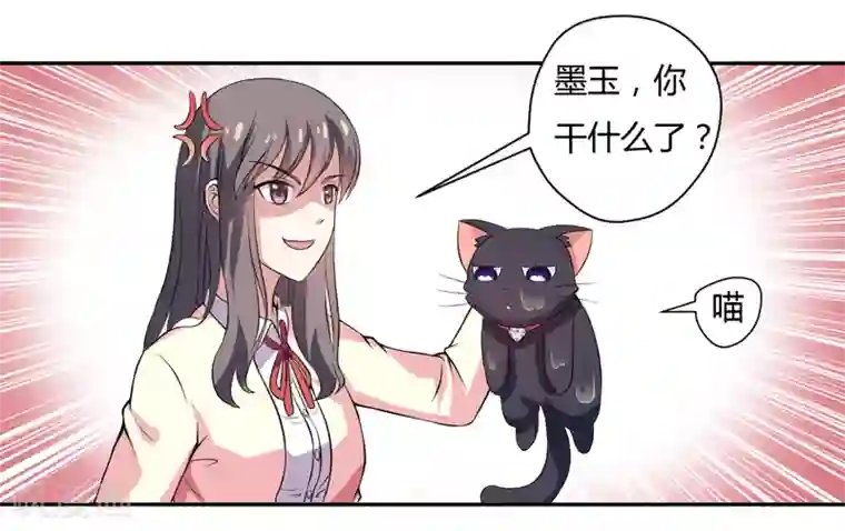 在下铲屎官：喵王在上第3话 猫落平阳被犬欺