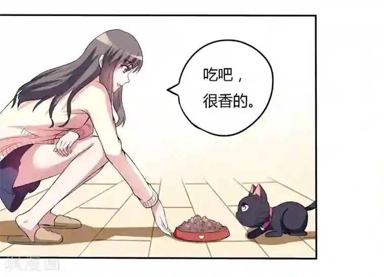 在下铲屎官：喵王在上第3话 猫落平阳被犬欺