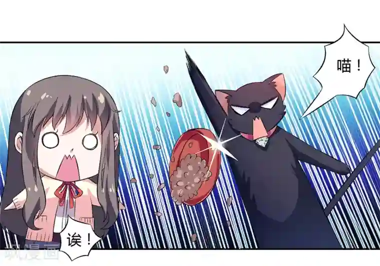 在下铲屎官：喵王在上第3话 猫落平阳被犬欺