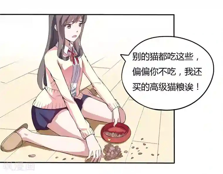 在下铲屎官：喵王在上第3话 猫落平阳被犬欺