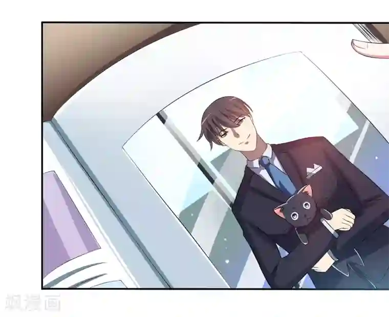 在下铲屎官：喵王在上第3话 猫落平阳被犬欺