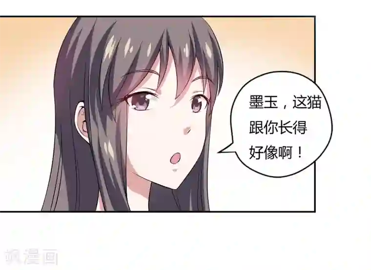 在下铲屎官：喵王在上第3话 猫落平阳被犬欺