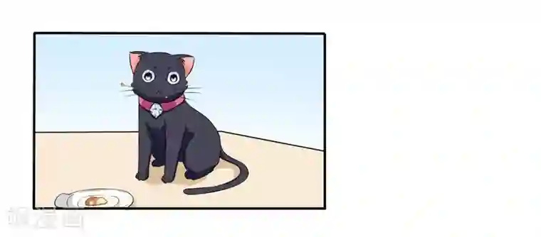 在下铲屎官：喵王在上第3话 猫落平阳被犬欺