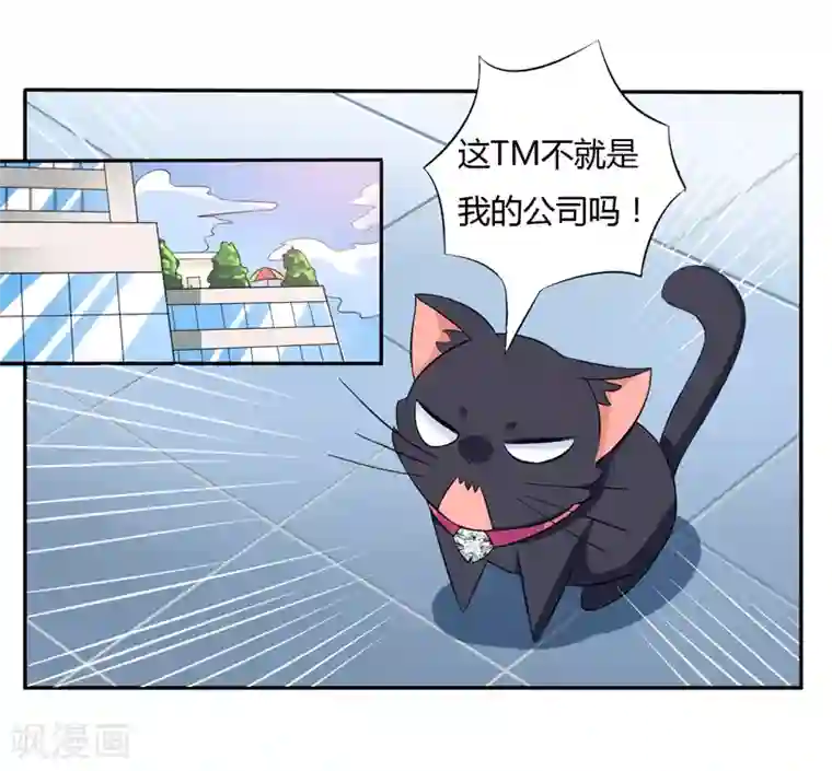 在下铲屎官：喵王在上第4话 偷腥的大老板？