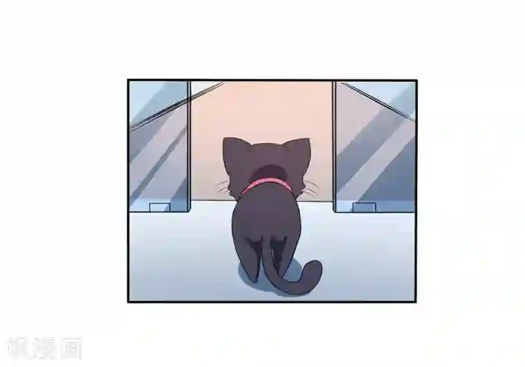 在下铲屎官：喵王在上第4话 偷腥的大老板？