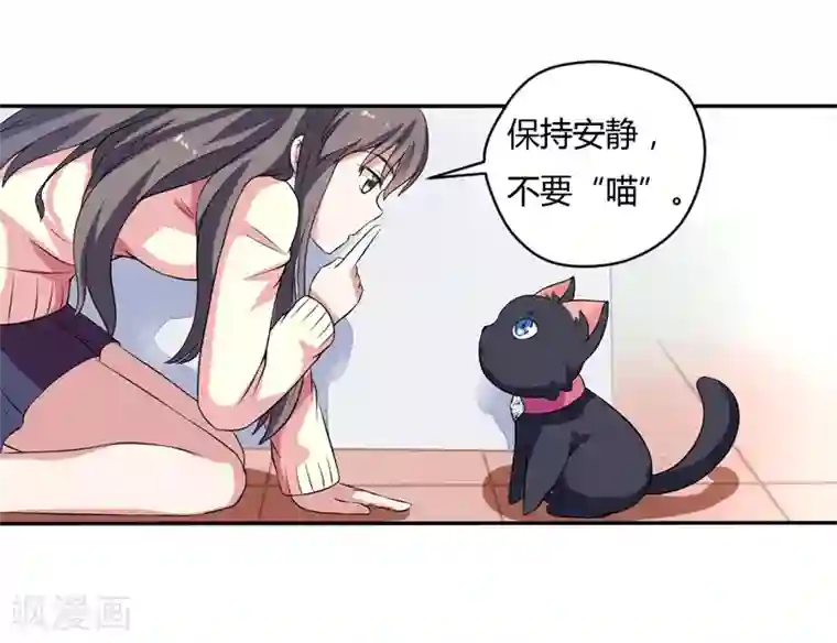 在下铲屎官：喵王在上第4话 偷腥的大老板？