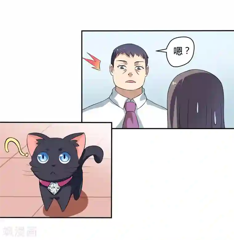 在下铲屎官：喵王在上第4话 偷腥的大老板？