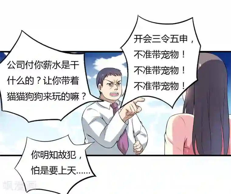 在下铲屎官：喵王在上第4话 偷腥的大老板？