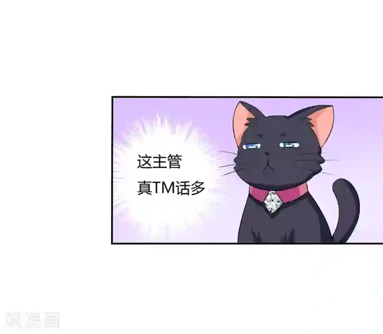 在下铲屎官：喵王在上第4话 偷腥的大老板？