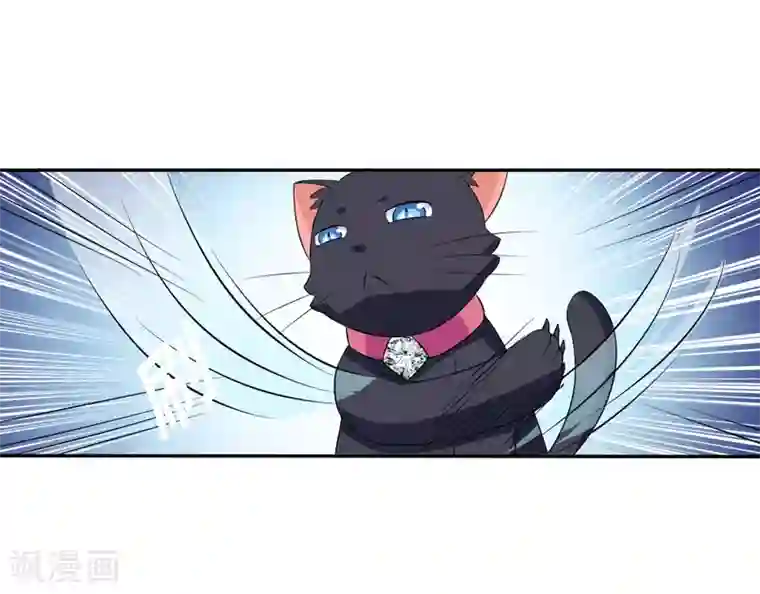 在下铲屎官：喵王在上第4话 偷腥的大老板？