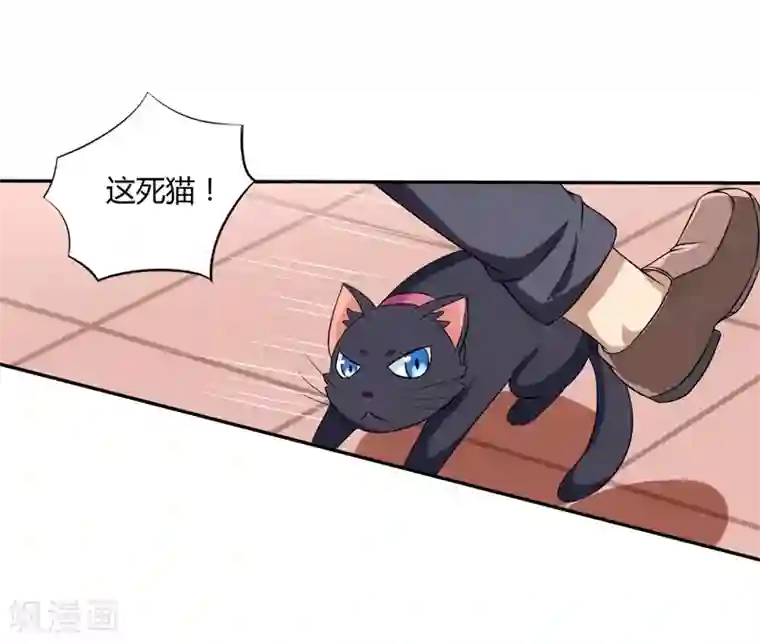 在下铲屎官：喵王在上第4话 偷腥的大老板？